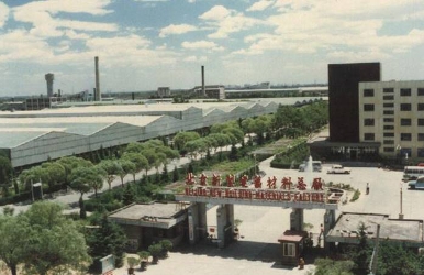 1985年